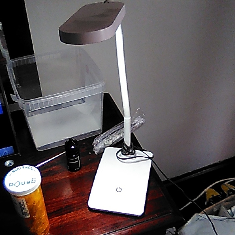 Light